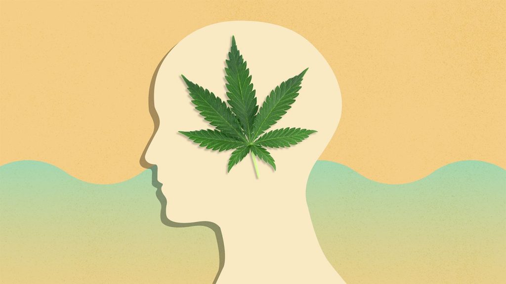 Marijuana and Mental Health: Does It Actually Help?