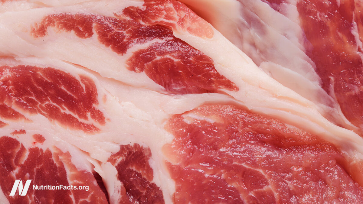 The Meat Papers Contradicted Their Own Data