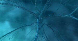 Understanding cognitive restructuring in PTSD